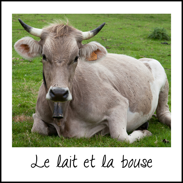 couv-Lait-Bouse